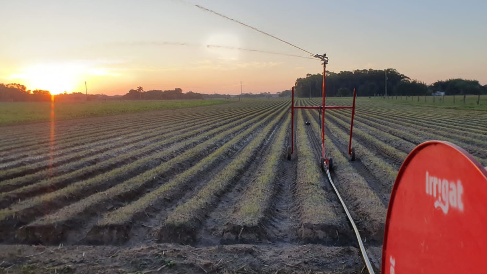 Quantas horas para irrigar 5 hectares?