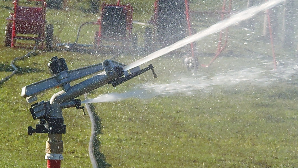 Água salobra, é possível?