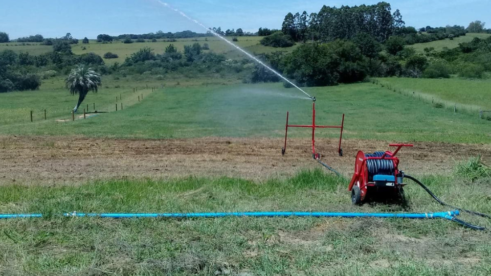 Quantos metros de cano por hectare?