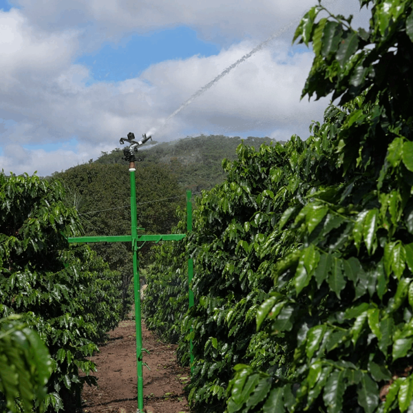 CARRINHO ASPERSOR CAFÉ (1)